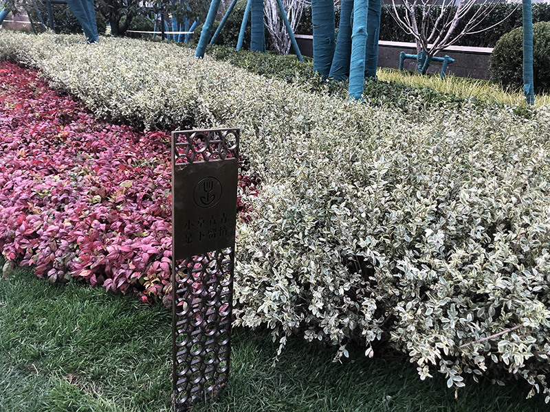 小區(qū)戶外景觀花草牌