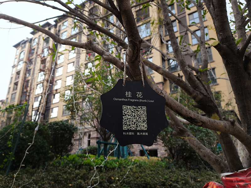 小區(qū)戶(hù)外樹(shù)名牌